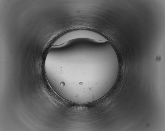 X0000115620304200911241630