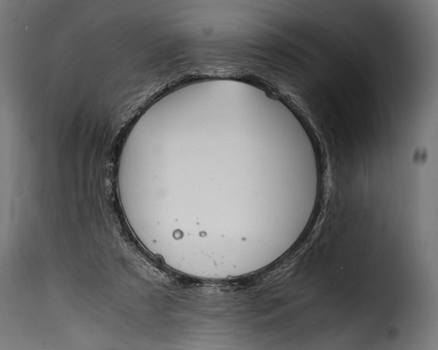 X0000115620305200911241630