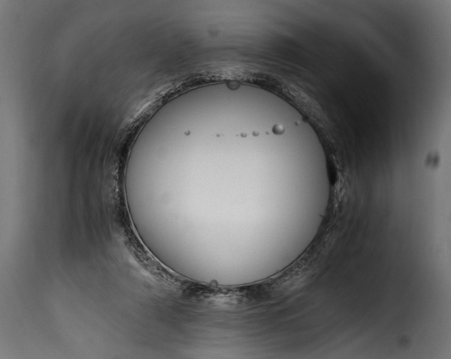 X0000115620306200911241630