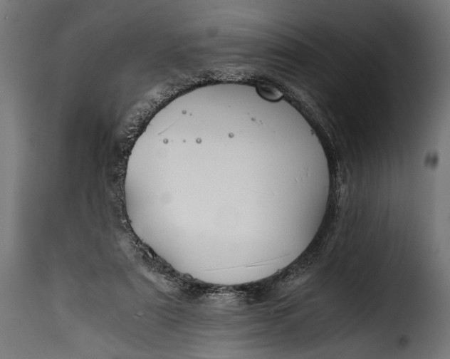 X0000115620307200911241630