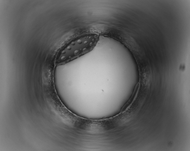 X0000115620308200911241630