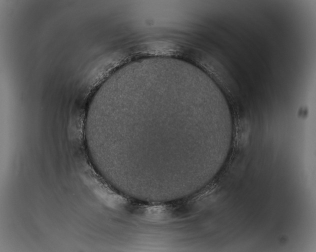 X0000115620309200911241630