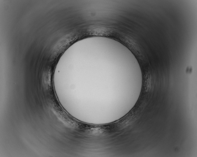 X0000115620310200911241630