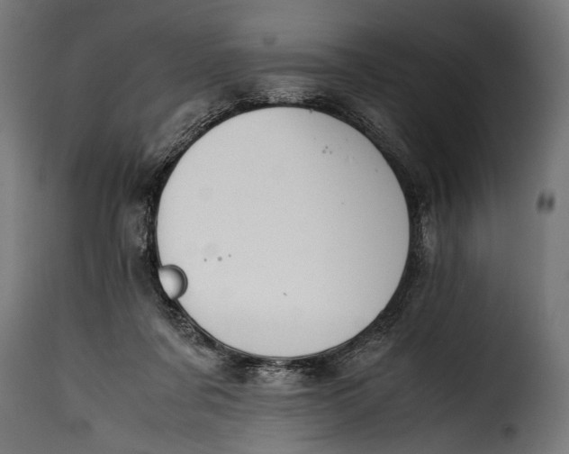 X0000115620311200911241630