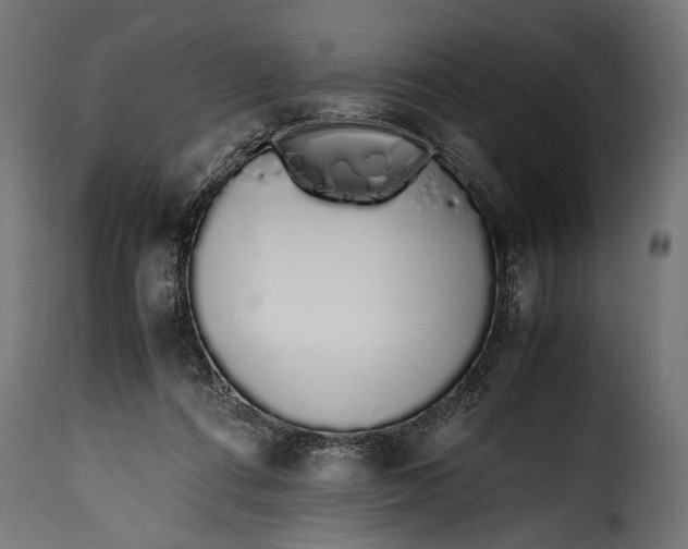 X0000115620312200911241630