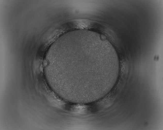 X0000115620313200911241630