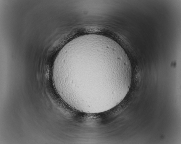 X0000115620315200911241630