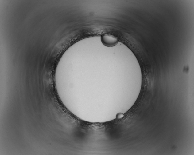 X0000115620317200911241630