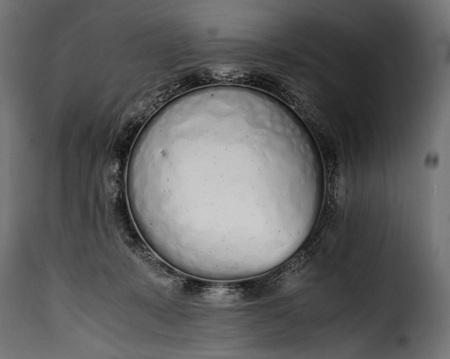 X0000115620319200911241630