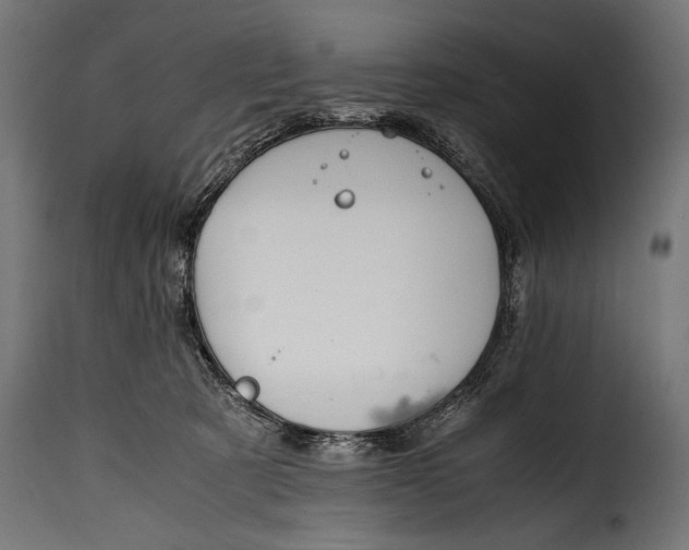 X0000115620321200911241630