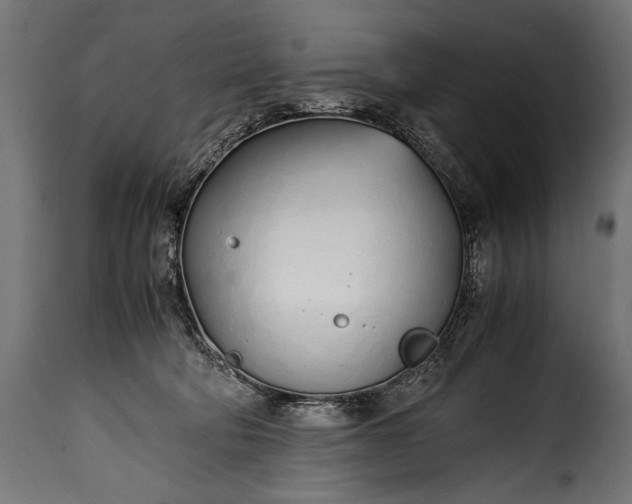 X0000115620322200911241630