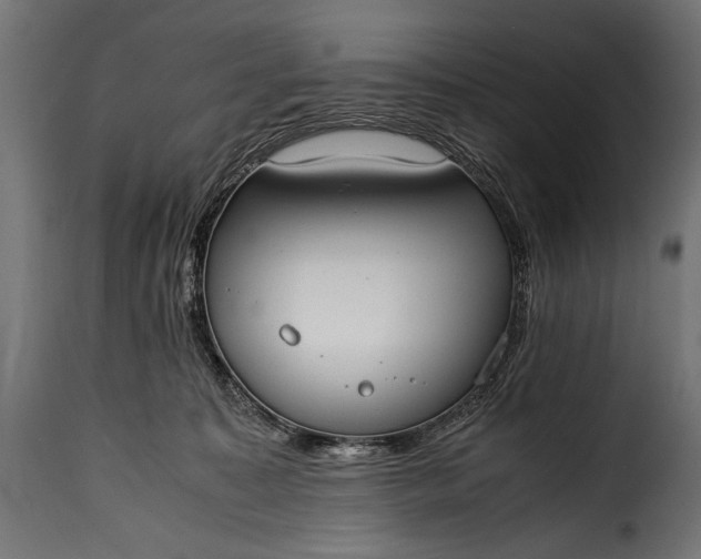 X0000115620323200911241630