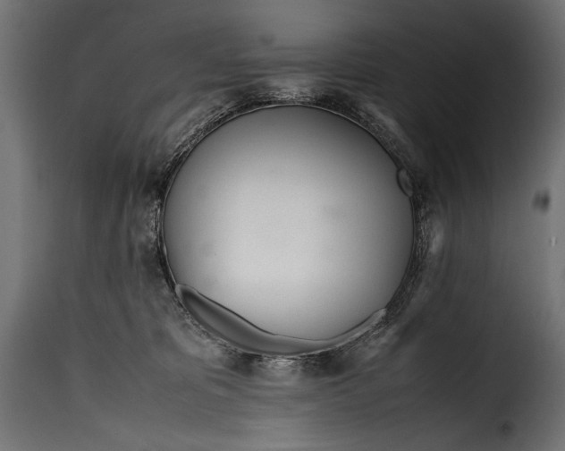 X0000115620325200911241629