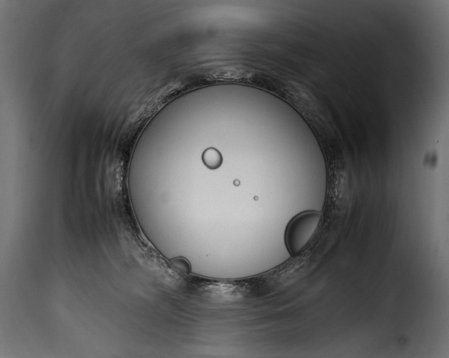 X0000115620326200911241629