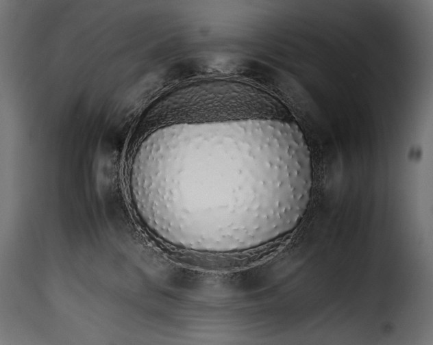 X0000115620328200911241629