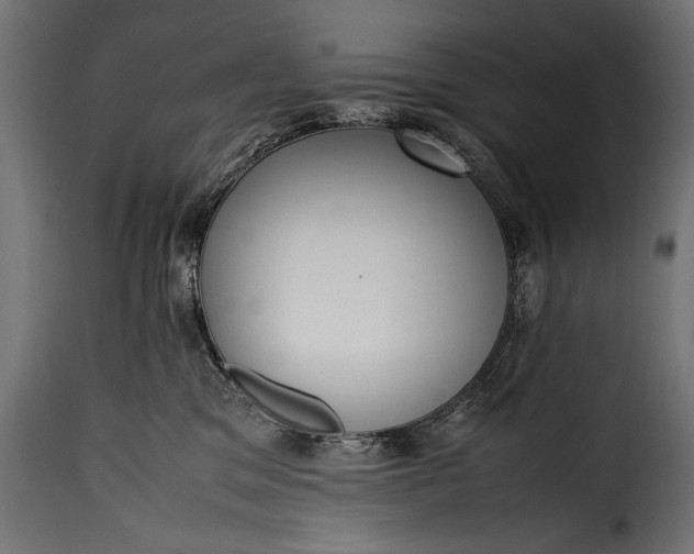 X0000115620329200911241629