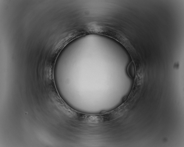 X0000115620330200911241629