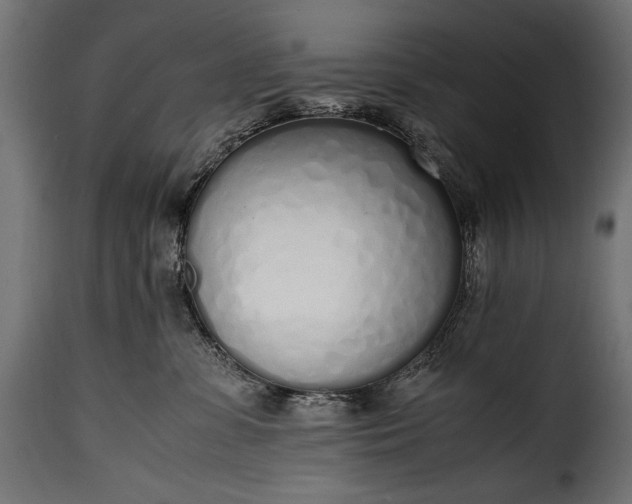 X0000115620331200911241629