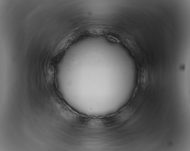 X0000115620332200911241629