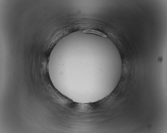 X0000115620333200911241629