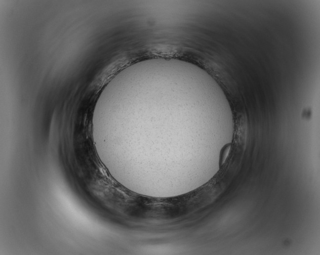 X0000115620334200911241629