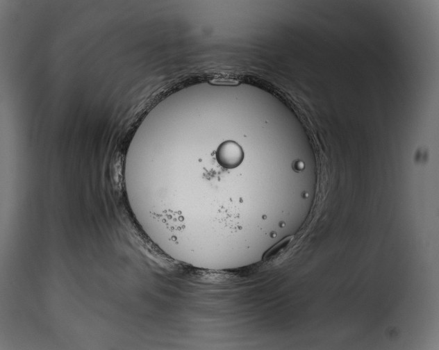 X0000115620336200911241629