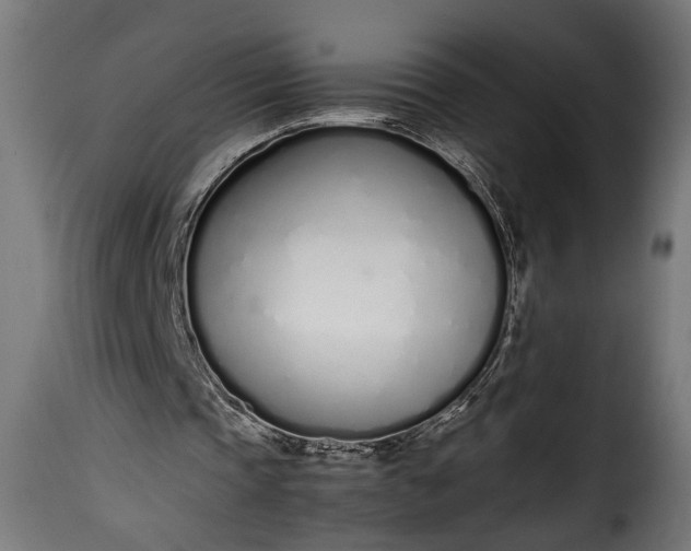 X0000115620337200911241629