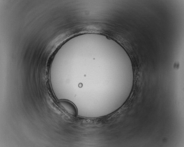 X0000115620338200911241629