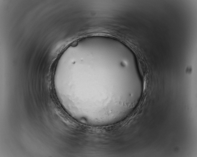 X0000115620339200911241629