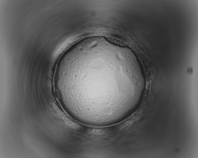 X0000115620341200911241629