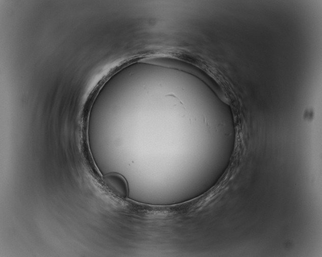 X0000115620342200911241629