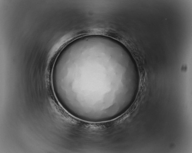 X0000115620343200911241629