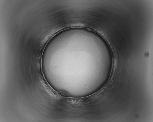 X0000115620345200911241629