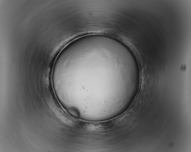 X0000115620346200911241629