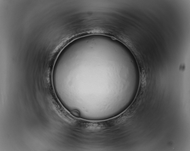 X0000115620347200911241629