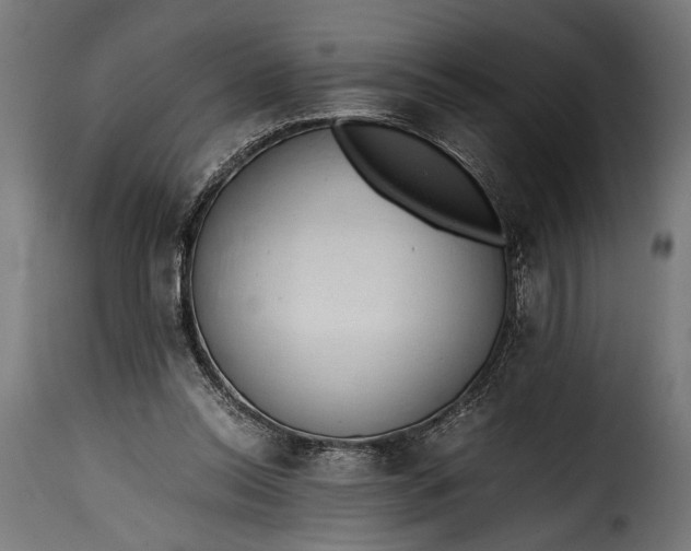 X0000115620350200911241629