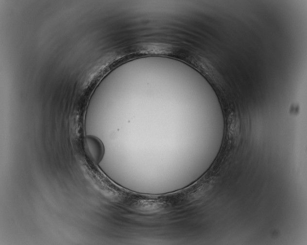 X0000115620351200911241629