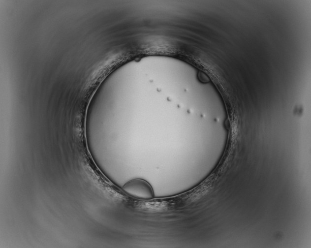 X0000115620353200911241629