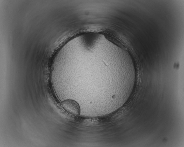 X0000115620354200911241629