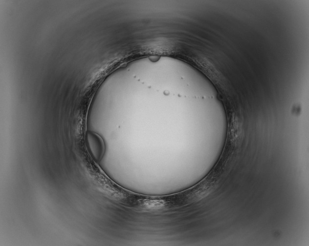 X0000115620355200911241629