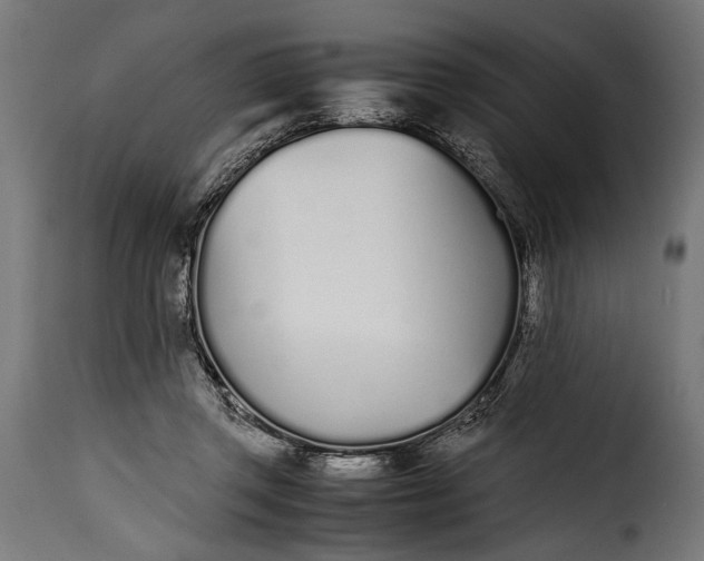 X0000115620357200911241629