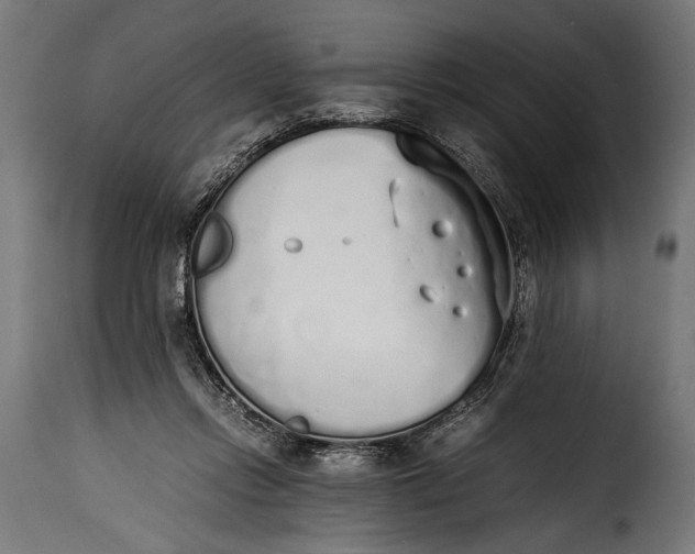 X0000115620358200911241629