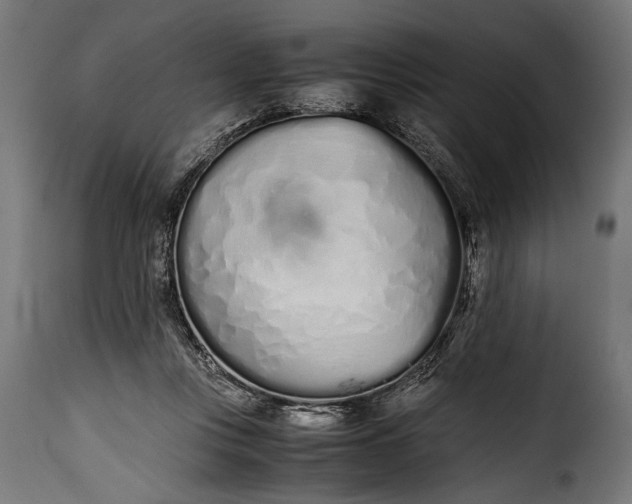 X0000115620359200911241629