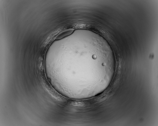 X0000115620361200911241629