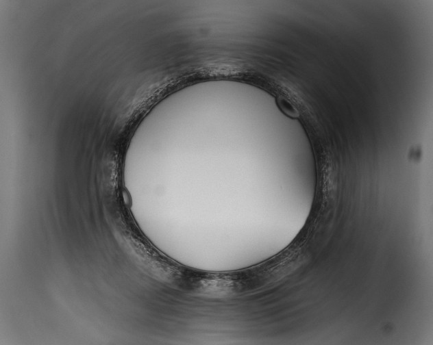 X0000115620362200911241629