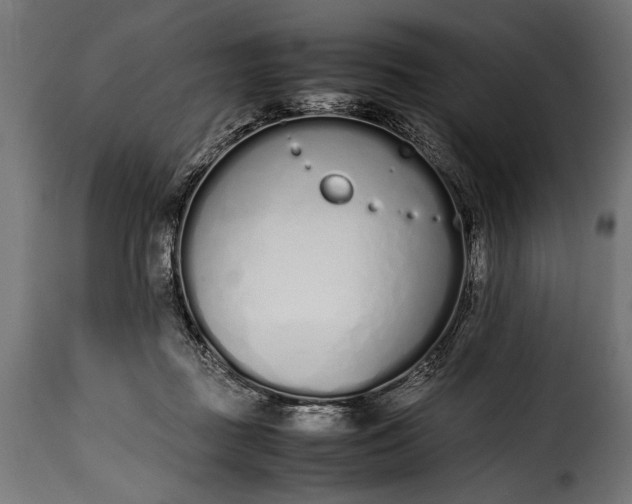 X0000115620363200911241629