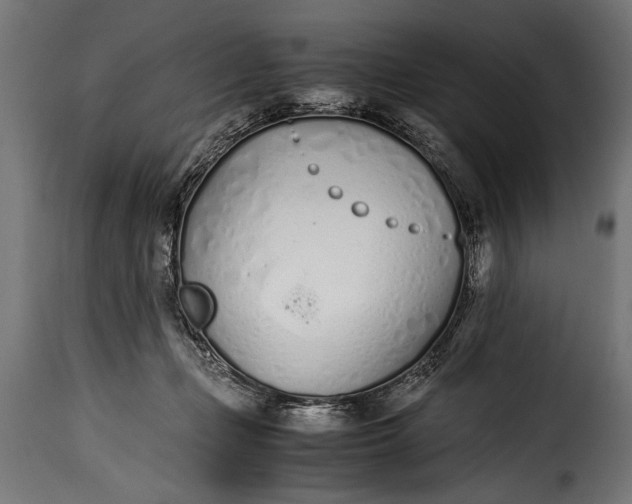 X0000115620365200911241629