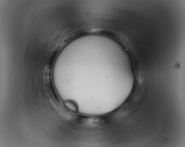 X0000115620366200911241629