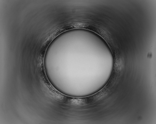 X0000115620367200911241629