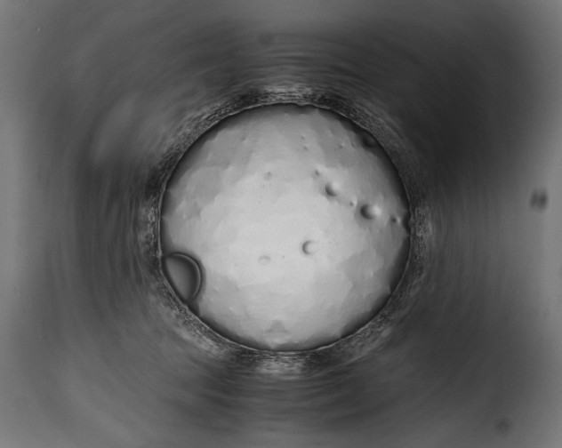 X0000115620369200911241629